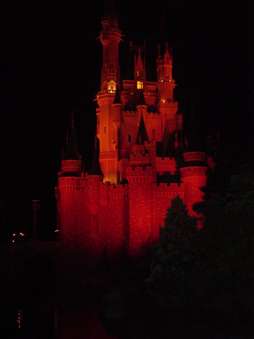 Disney 2010 236